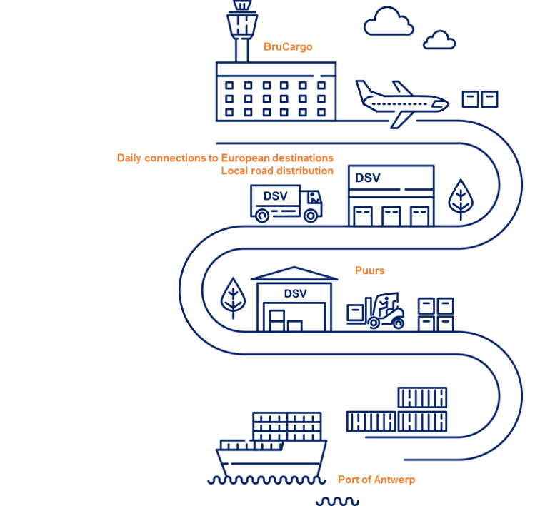 infographic dsv puurs